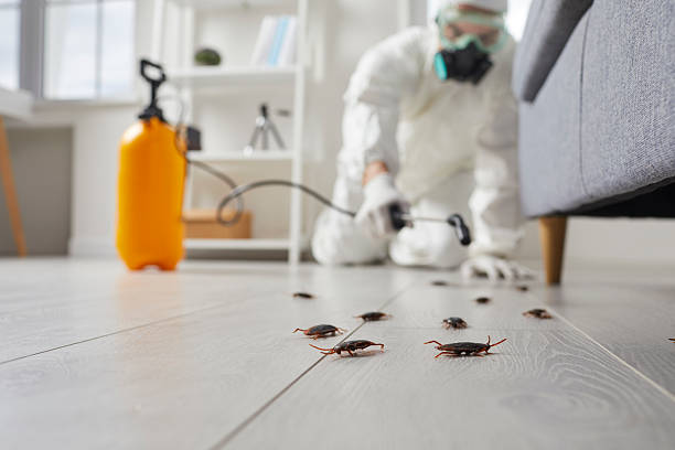 Commercial Kitchen Cockroach Control in Lewisport